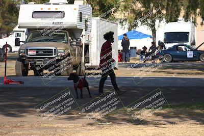 media/Nov-11-2023-GTA Finals Buttonwillow (Sat) [[117180e161]]/Around the Pits/